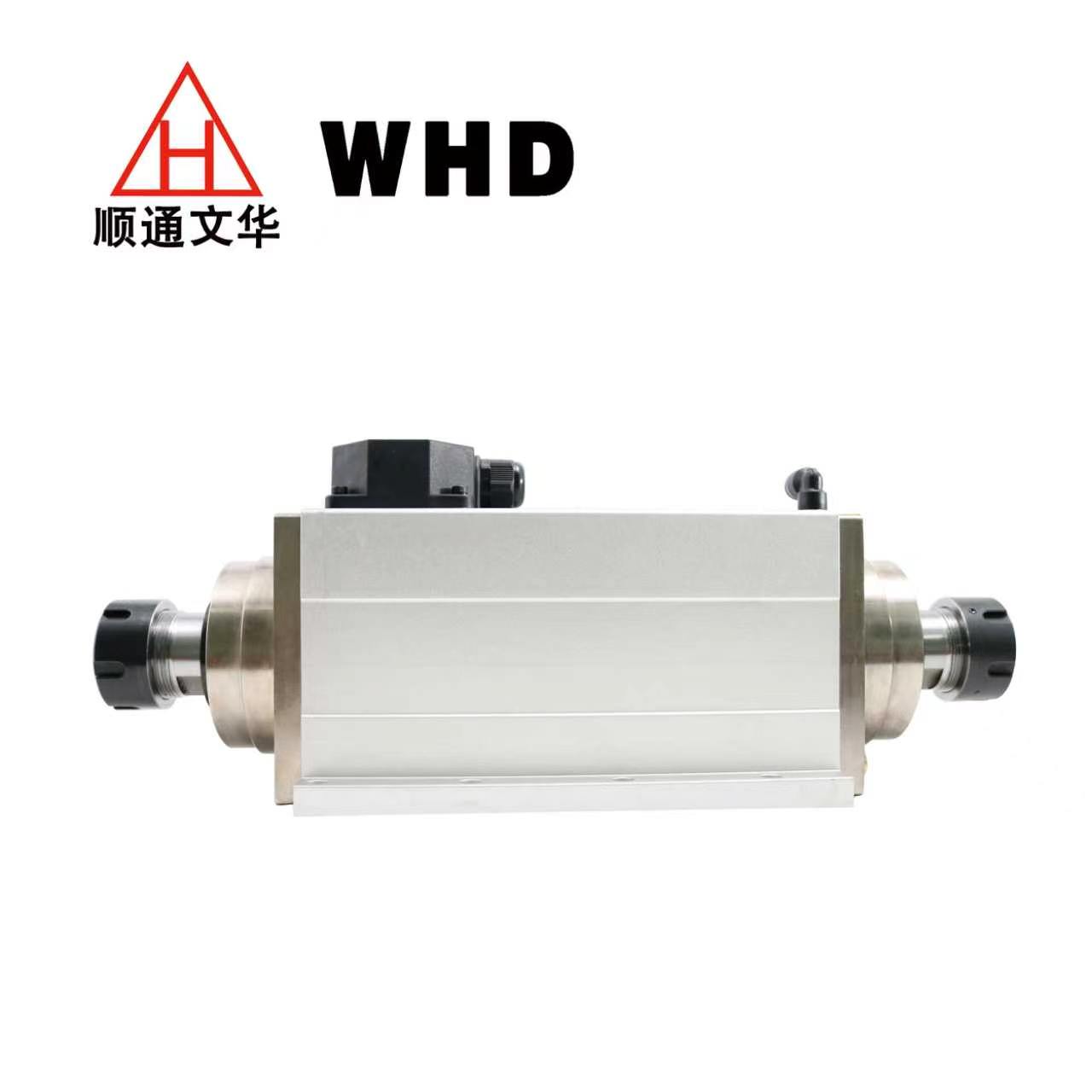 6.0kW double ended motor